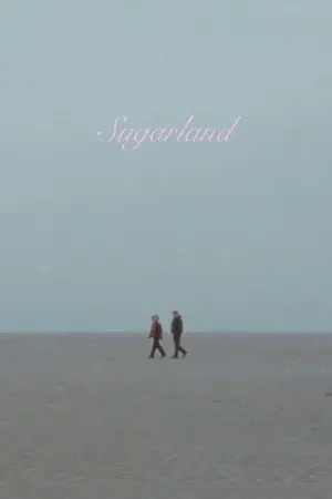 Poster to the movie "Sugarland" #697809
