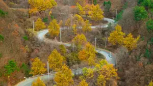 Backdrop to the movie "No Other Choice" #761049