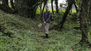 Backdrop to the movie "Corvo de Madeira" #200056