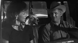 Backdrop to the movie "Texasville" #765289