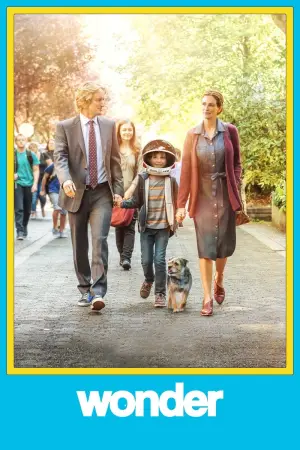 Poster to the movie "Wonder" #601060