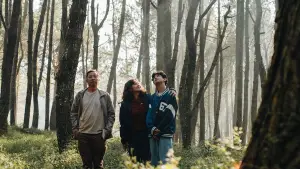 Backdrop to the movie "Mothernet" #539527