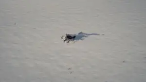 Backdrop to the movie "Dracula" #510007