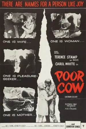 Poster to the movie "Poor Cow" #742737