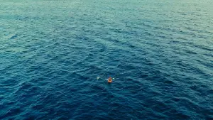 Backdrop to the movie "Don
