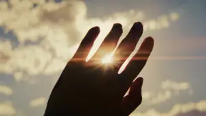 Backdrop to the movie "The Way of the Wind" #556209