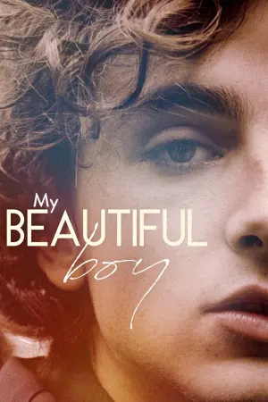 Poster to the movie "Beautiful Boy" #98542
