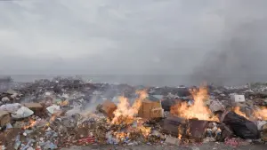 Backdrop to the movie "Matter Out of Place" #476988