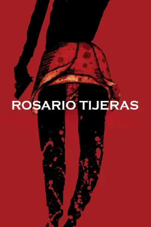 Poster to the movie "Rosario Tijeras" #708769