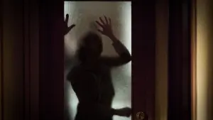 Backdrop to the movie "The Grudge" #330199