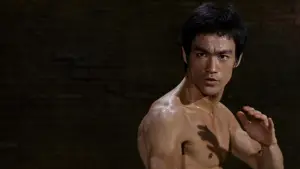 Backdrop to the movie "The Way of the Dragon" #745723