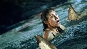 Shark Thrash