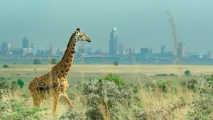 Backdrop to the movie "Breaking Boundaries: The Science of Our Planet" #417753