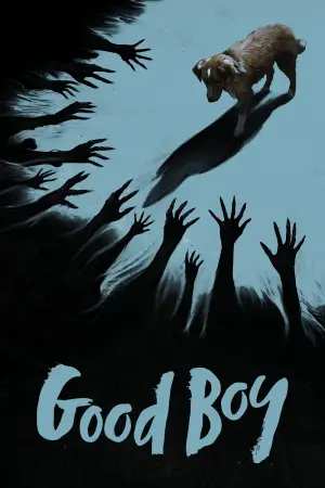 Poster to the movie "Good Boy" #770394