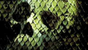 Backdrop to the movie "Anacondas: The Hunt for the Blood Orchid" #739706