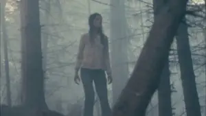 Backdrop to the movie "Antichrist" #723338