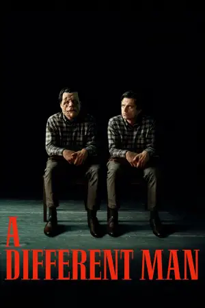 Poster to the movie "A Different Man" #592609