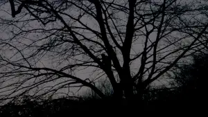 Backdrop to the movie "Birth" #663078