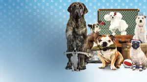 Backdrop to the movie "Hotel for Dogs" #306696