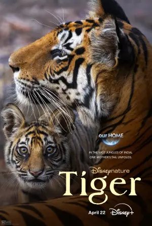 Poster to the movie "Tiger" #739249