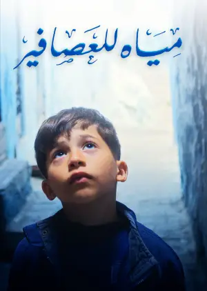 Poster to the movie "Water For The Birds" #771675