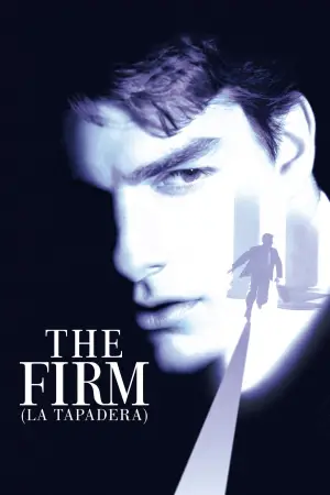 Poster to the movie "The Firm" #658565