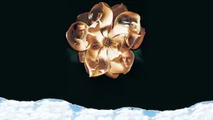 Backdrop to the movie "Magnolia" #670097