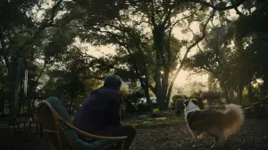 Backdrop to the movie "Beautiful Boy" #693590