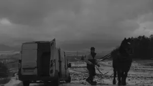 Backdrop to the movie "Cold and Dark" #353114