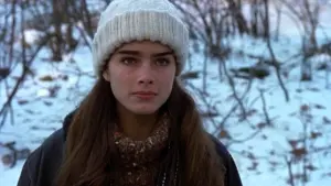 Backdrop to the movie "Endless Love" #505392