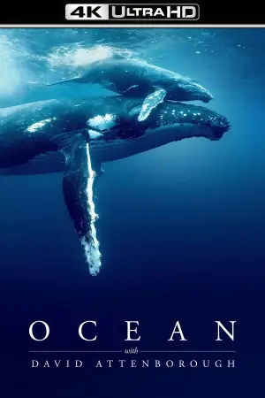 Poster to the movie "Ocean with David Attenborough" #783600
