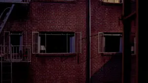 Backdrop to the movie "Rear Window" #174390