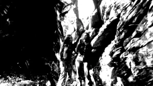 Backdrop to the movie "The Last House on the Left" #311275