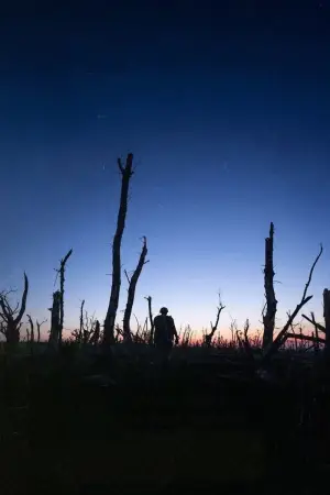 Poster to the movie "2000 Meters to Andriivka" #783487