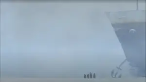 Backdrop to the movie "Madagascar" #521748