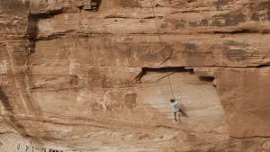 Backdrop to the movie "The Seeding" #366026