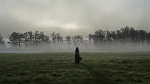 Backdrop to the movie "The Ghost" #916913