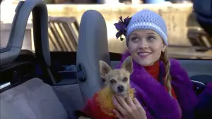 Backdrop to the movie "Legally Blonde" #616095