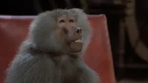 Backdrop to the movie "The Fly" #218610