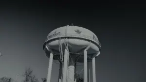 Backdrop to the movie "HockeyTown Hoedown" #195582