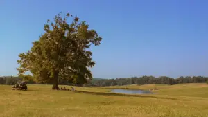 Backdrop to the movie "O Brother, Where Art Thou?" #810279