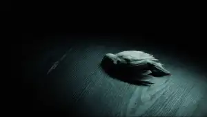 Backdrop to the movie "Harry Potter and the Half-Blood Prince" #798470