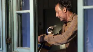 Backdrop to the movie "My Penguin Friend" #632056