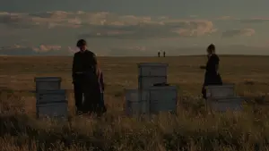 Backdrop to the movie "Days of Heaven" #786584