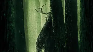 Backdrop to the movie "Wrong Turn" #310434