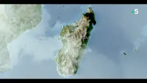 Backdrop to the movie "Ivohiboro, la forêt oubliée" #735895