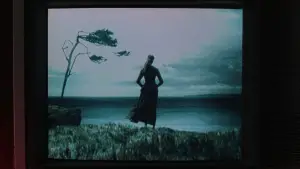 Backdrop to the movie "The Ring" #636369