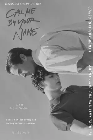 Poster to the movie "Call Me by Your Name" #800045