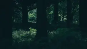 Backdrop to the movie "NN4444" #880213
