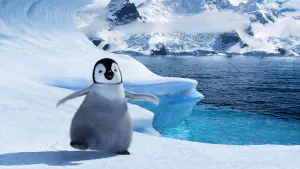 Backdrop to the movie "Happy Feet" #480767